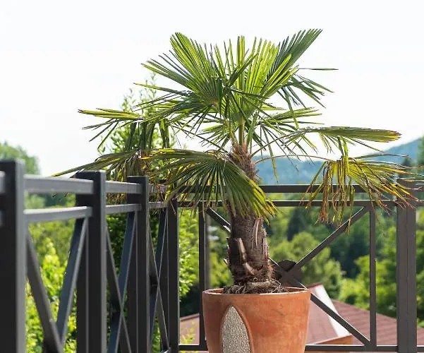 Guest house Katzer 4*
